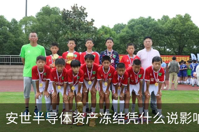 安世半导体资产冻结凭什么说影响不大？
