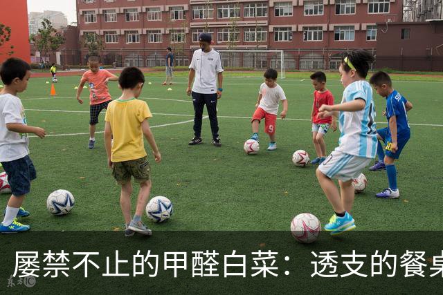 屡禁不止的甲醛白菜：透支的餐桌信任，不能只靠舆论救火
